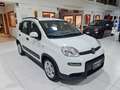 Fiat Panda MY21 1.0 70CV Hybrid City Life Bianco - thumbnail 3