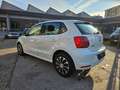 Volkswagen Polo 1.4 TDI 5p. Comfortline Bianco - thumbnail 4