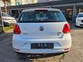 Volkswagen Polo 1.4 TDI 5p. Comfortline Bianco - thumbnail 5