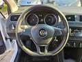 Volkswagen Polo 1.4 TDI 5p. Comfortline Bianco - thumbnail 15