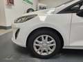Ford Fiesta 1.5 ecoblue Business 85cv my20.25 Weiß - thumbnail 4