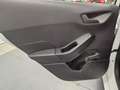 Ford Fiesta 1.5 ecoblue Business 85cv my20.25 Weiß - thumbnail 22