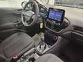 Ford Fiesta 1.5 ecoblue Business 85cv my20.25 Weiß - thumbnail 30