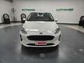 Ford Fiesta 1.5 ecoblue Business 85cv my20.25 Weiß - thumbnail 3