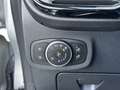 Ford Fiesta 1.0 EcoBoost Titanium | Winter pack. Grau - thumbnail 17