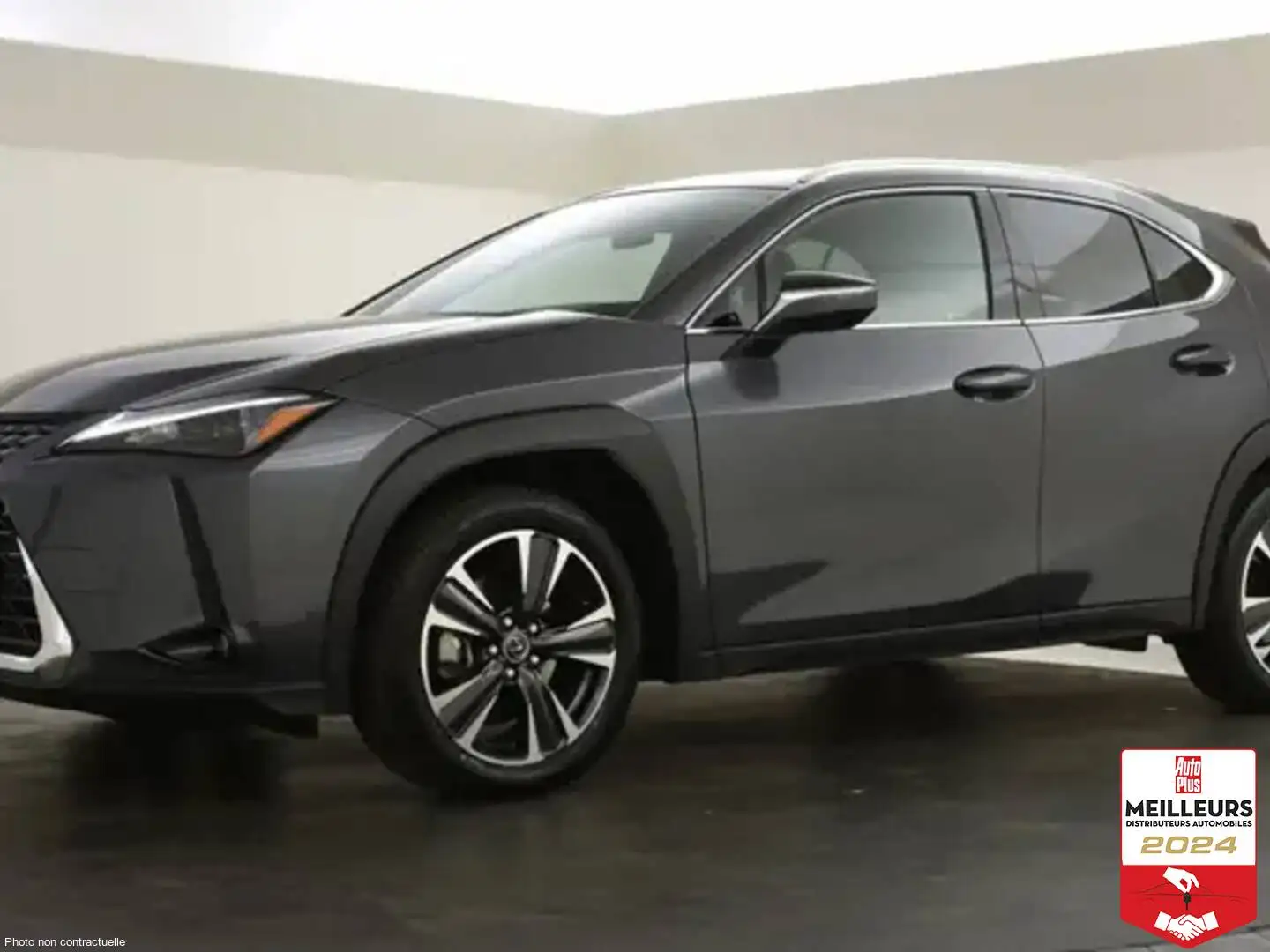 Lexus UX 300e UX 300e Luxe Grijs - 1