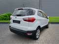 Ford EcoSport Cool & Connect 1.5 EcoBlue EU6d-T Alarm Notbremsas Weiß - thumbnail 4