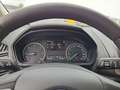 Ford EcoSport Cool & Connect 1.5 EcoBlue EU6d-T Alarm Notbremsas Weiß - thumbnail 9