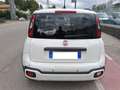 Fiat Panda Pandina 1.0 firefly hybrid 70cv  Cross S&S Weiß - thumbnail 4
