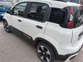 Fiat Panda Pandina 1.0 firefly hybrid 70cv  Cross S&S Weiß - thumbnail 6