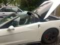 Chevrolet Corvette Overig 6.2 Coupé Wit - thumbnail 5