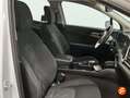 Kia Sportage 1.6 T-GDi HEV 169kW (230CV) Business 4x4 Blanco - thumbnail 16