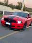 Ford Mustang 4.0 V6 NO SUPERBOLLO - thumbnail 5
