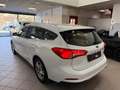 Ford Focus Focus 1.5 EcoBlue 120 CV SW Business Blanc - thumbnail 18