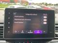 Renault Trafic L2H1 2.0 Blue dCi - 150 - BV EDC  - Advance Blanc - thumbnail 23