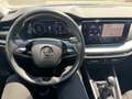 Skoda Octavia Business TDI Blau - thumbnail 10