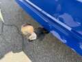Skoda Octavia Business TDI Blau - thumbnail 8