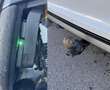 Audi SQ5 3,0 TDI quattro DPF Tiptronic - thumbnail 10