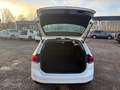 Volkswagen Passat Variant 2.0 TDI DSG BUSINESS +LED +RKAM +ACC +APP-CONN +L Weiß - thumbnail 15