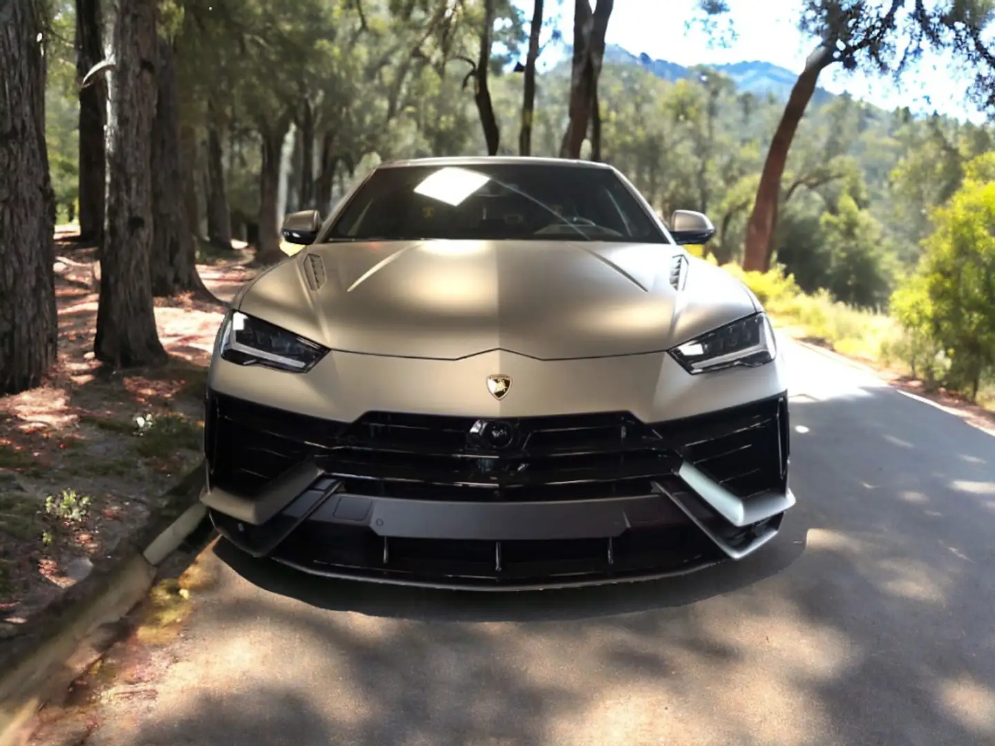 Lamborghini Urus S Gris - 1