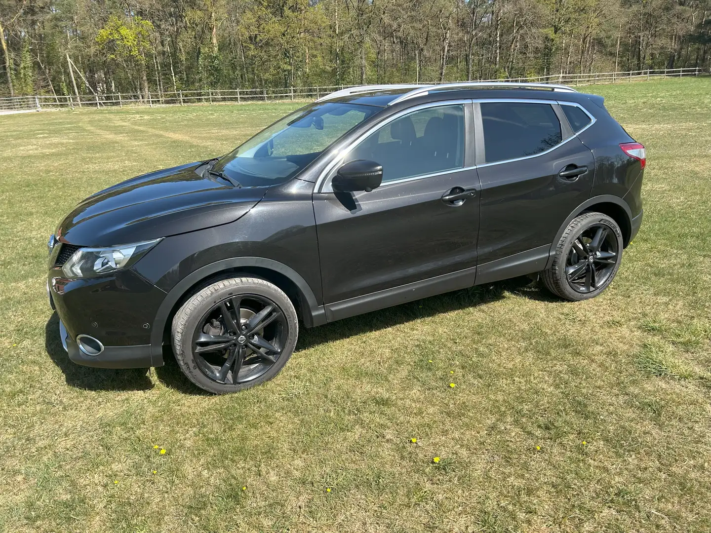 Nissan Qashqai Qashqai Diesel 1.6 dCi Black Edition - 2
