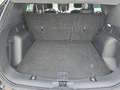 Ford Kuga 2,0 EcoBlue AWD ST-Line Aut. Schwarz - thumbnail 13