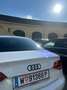 Audi A4 3.0 TDI DPF quattro S line Sportpaket (plus) - thumbnail 11