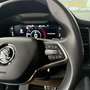 Skoda Kodiaq 2,0 TDI SCR 4x4 Scout DSG Grau - thumbnail 23