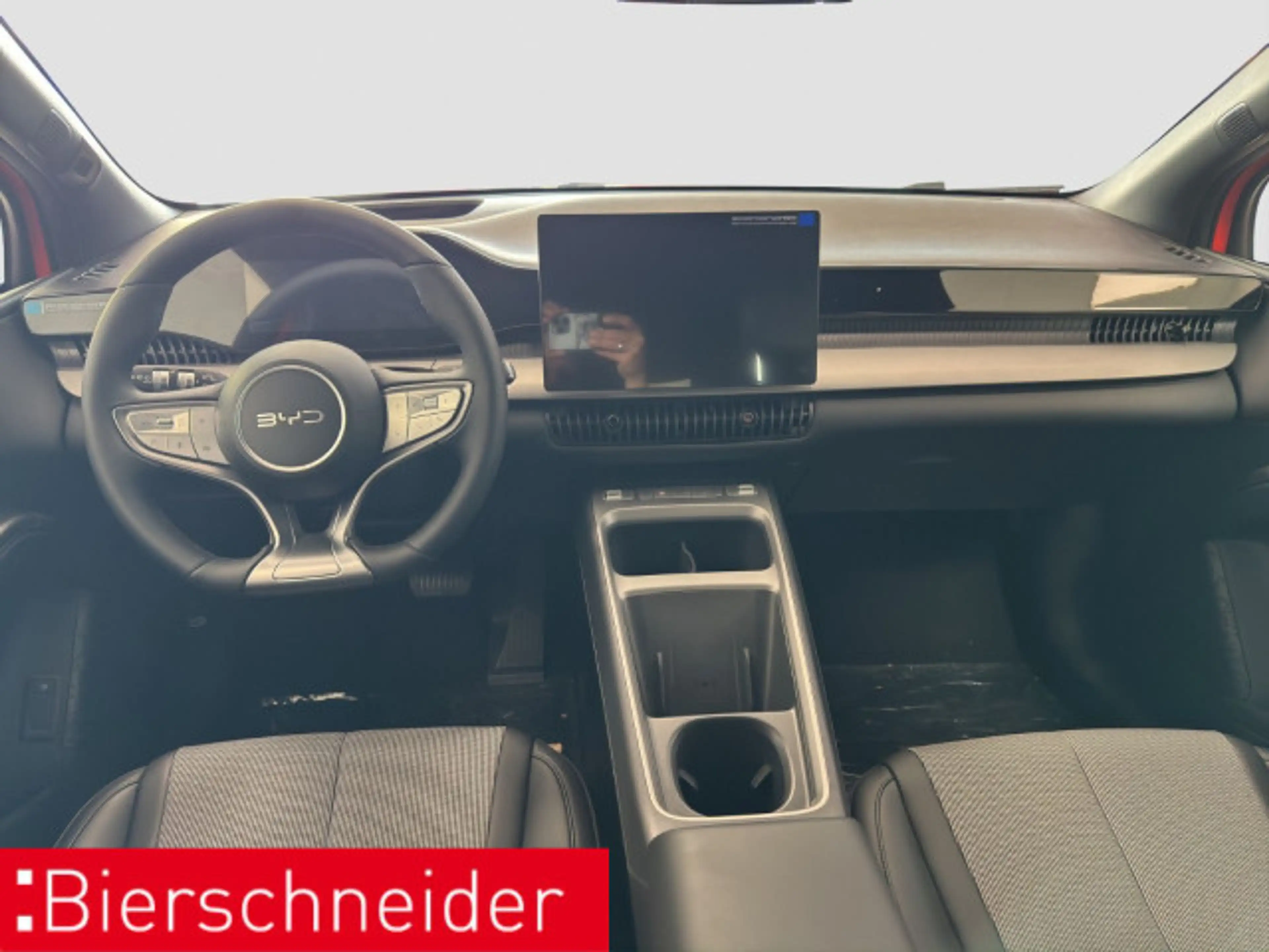 BYD Dolphin Dolphin G DM-i Boost NAVI LED SHZ — photo 12