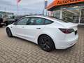 Tesla Model 3 Long Range Dual AWD Neues Modell Blanc - thumbnail 6