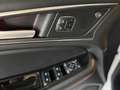 Ford Edge ST-Line 4x4 B&O Pano 1.Hand 4xSHZ Keyless Weiß - thumbnail 10