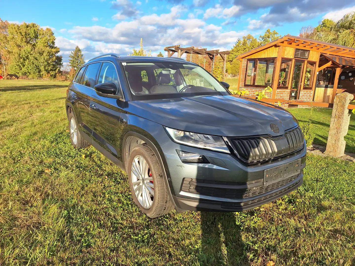 Skoda Kodiaq 2,0 TDI SCR 4x4 190PS Style DSG Grau - 2