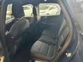 Ford Kuga Kuga 2.5 Plug In Hybrid 225 CV CVT 2WD ST-Line X Bleu - thumbnail 12