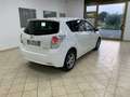 Toyota Verso Verso 2.0d Active c/navi *7 POSTI* Wit - thumbnail 5