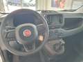 Fiat Panda "Pandina Urban" 1.0 GSE Hybrid (71 PS) Blanc - thumbnail 8