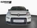 Fiat Panda "Pandina Urban" 1.0 GSE Hybrid (71 PS) Blanc - thumbnail 3