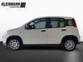 Fiat Panda "Pandina Urban" 1.0 GSE Hybrid (71 PS) Blanc - thumbnail 4