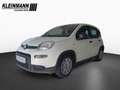 Fiat Panda "Pandina Urban" 1.0 GSE Hybrid (71 PS) Blanc - thumbnail 1
