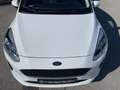 Ford Fiesta Trend 1,1 Start/Stop Weiß - thumbnail 9