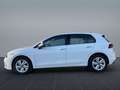 Volkswagen Golf VIII Life 2.0TDI *FAHRSCHULE*StndHzg*Pano* Weiß - thumbnail 4