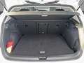 Volkswagen Golf VIII Life 2.0TDI *FAHRSCHULE*StndHzg*Pano* Weiß - thumbnail 21