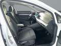 Volkswagen Golf VIII Life 2.0TDI *FAHRSCHULE*StndHzg*Pano* Weiß - thumbnail 15