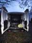 Opel Combo Combo 1.3 CDTI L2H1 Blanc - thumbnail 15
