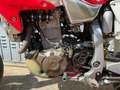 Honda XR 650 Dall'Ara XR 650 R Rood - thumbnail 4
