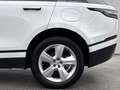 Land Rover Range Rover Velar P400e Weiß - thumbnail 9