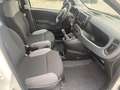 Fiat Panda 1.0 Van 2 posti Apple car play Clima Occasione Bianco - thumbnail 10