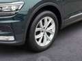 Volkswagen Tiguan 2,0 TDI 4Motion Highline Grün - thumbnail 8