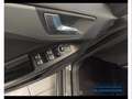 Ford Focus 1.5 EcoBlue ST-Line Style Blu/Azzurro - thumbnail 13