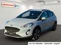 Ford Fiesta 1.0 EcoBoost Active Plus Crossover Grau - thumbnail 1
