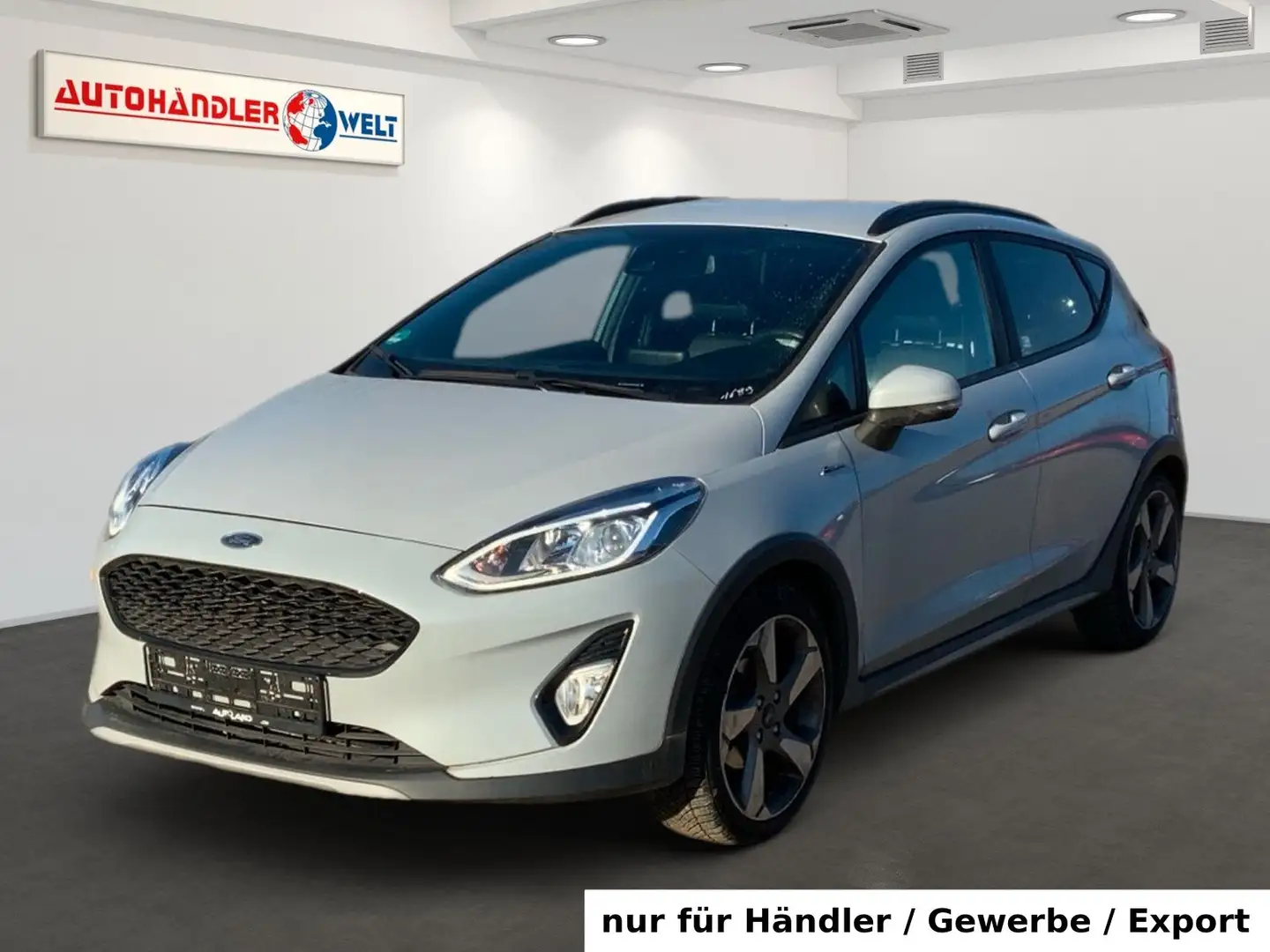 Ford Fiesta 1.0 EcoBoost Active Plus Crossover Grau - 1